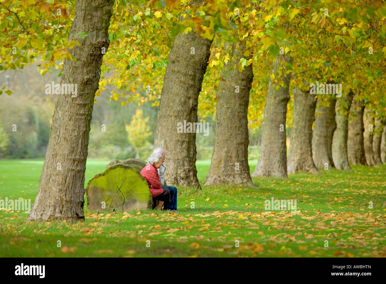Elderly people sitting on bench hi-res stock photography and images - Alamy