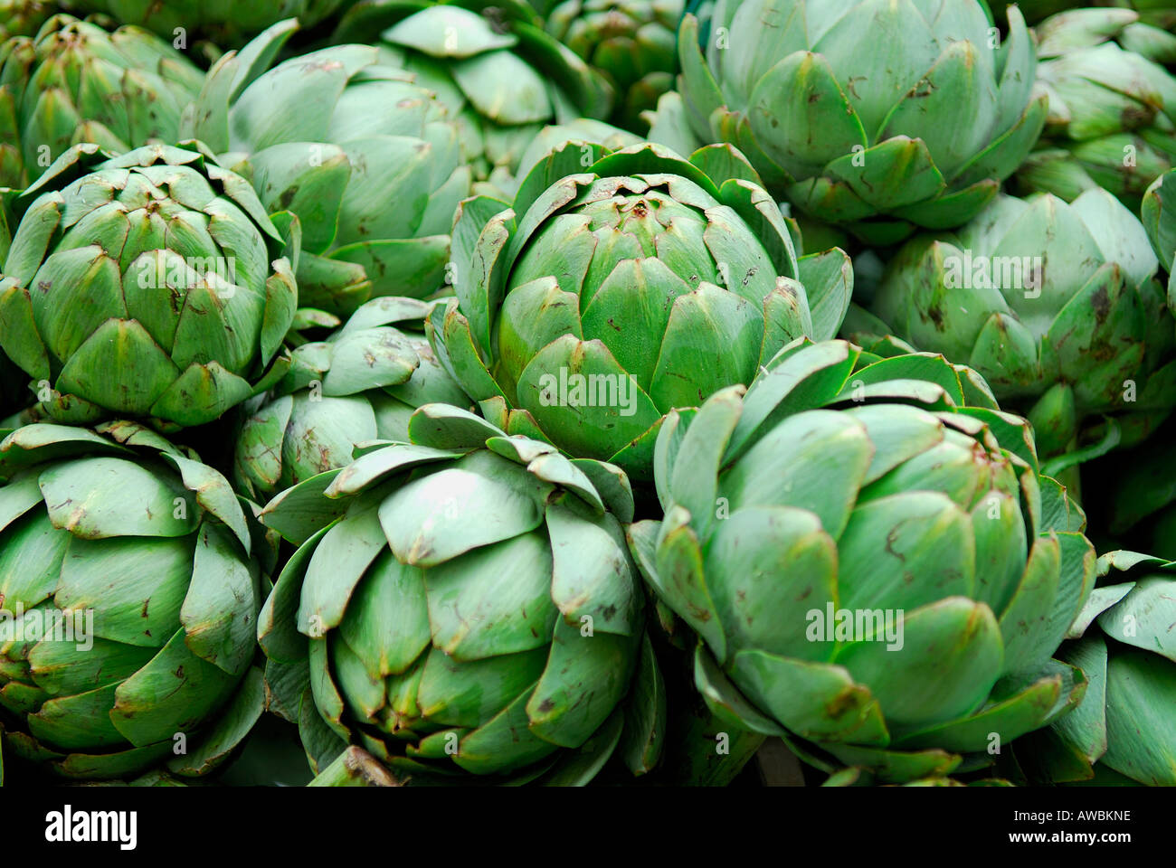 globe artichokes on market stall Stock Photo
