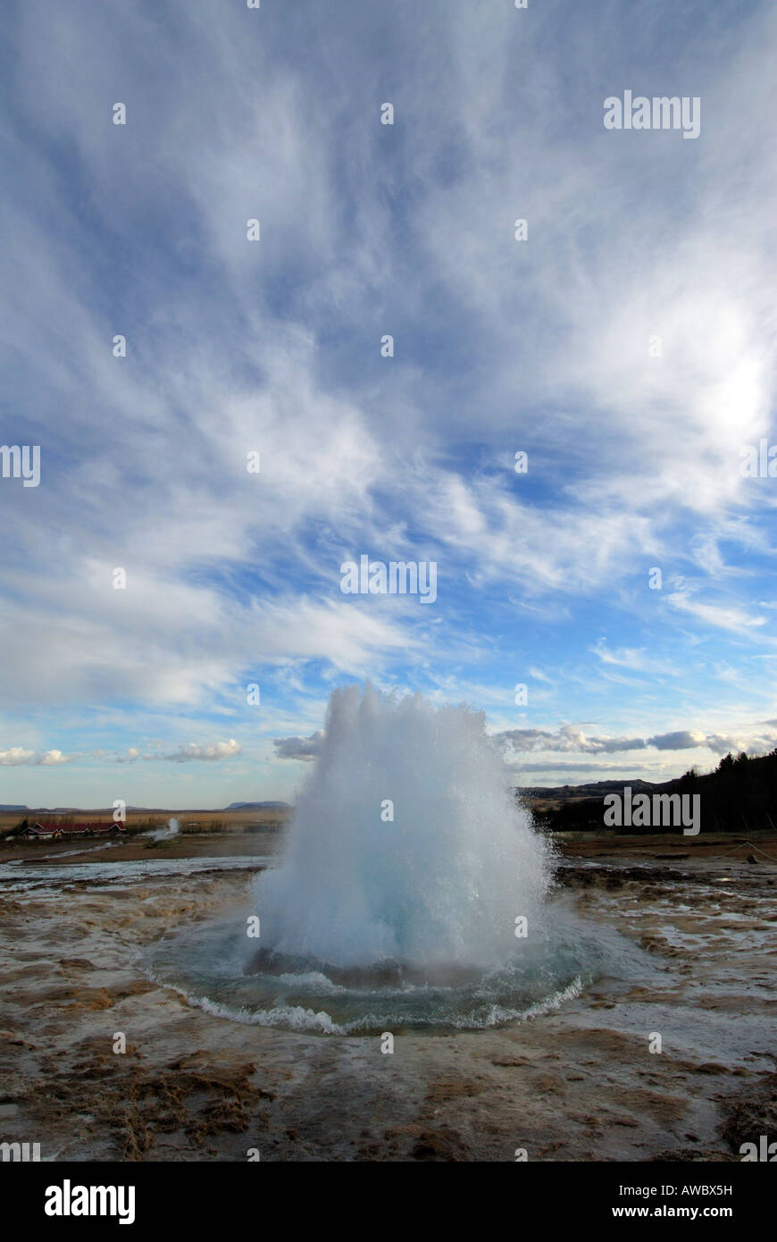 Strokkur geyser ready to spout hot water Iceland Stock Photo - Alamy