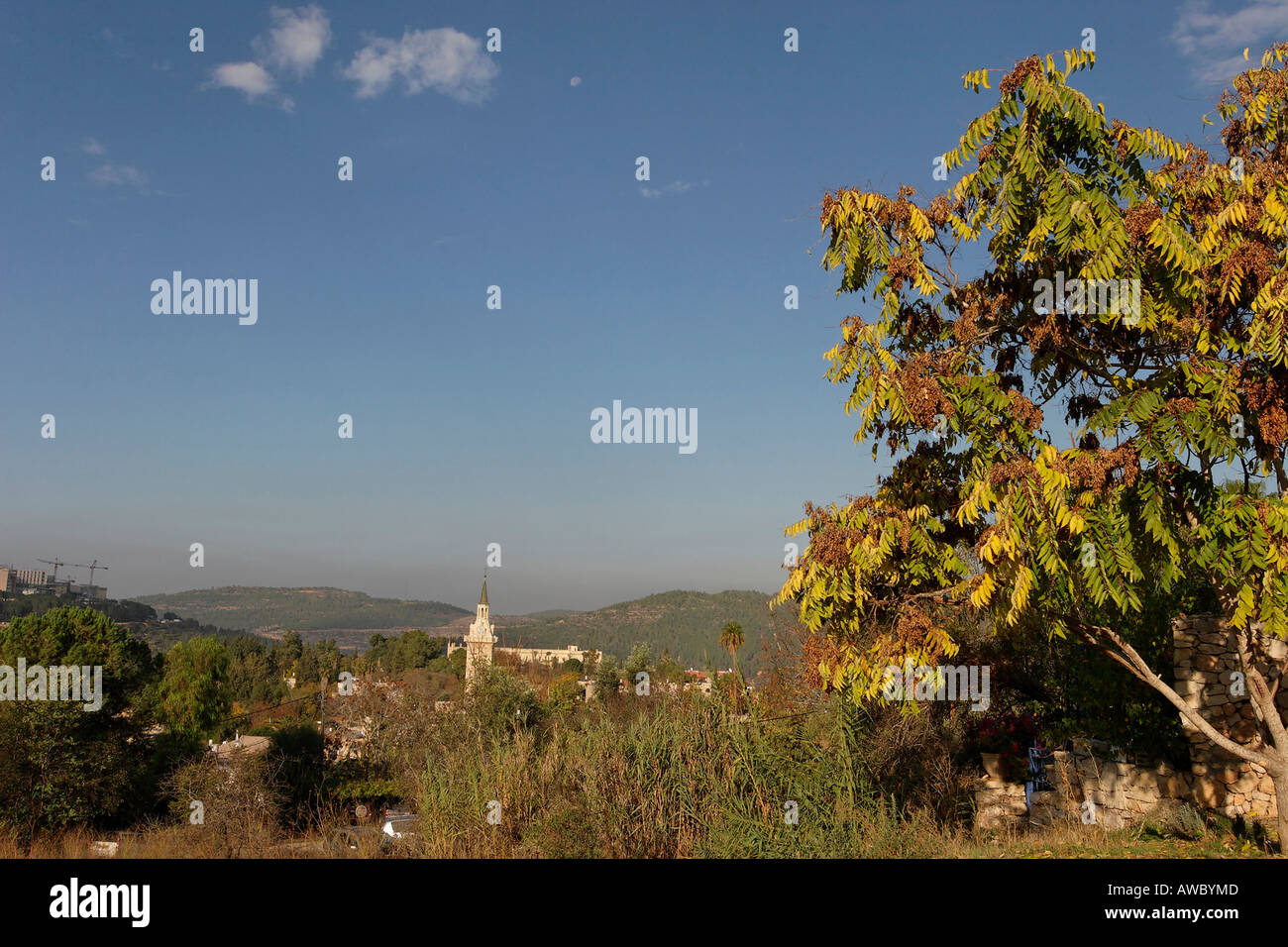 Jerusalem Israel Ein Karem Stock Photo Alamy jerusalem-israel-ein-karem-stock-photo-alamy
