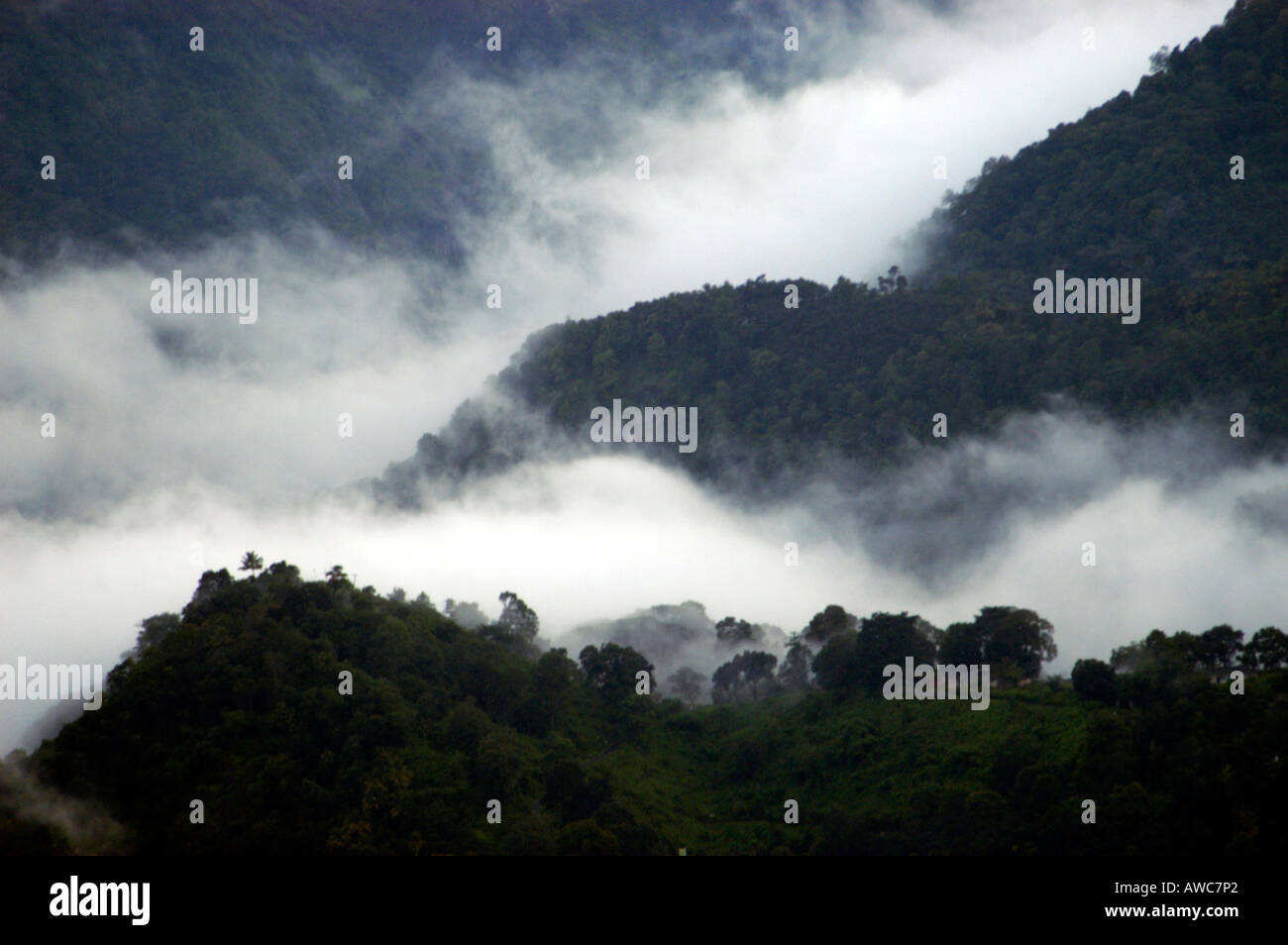 MISTY HILLS OF WESTERN GHATS SEEN FROM MUNNAR ROAD Stock Photo - Alamy