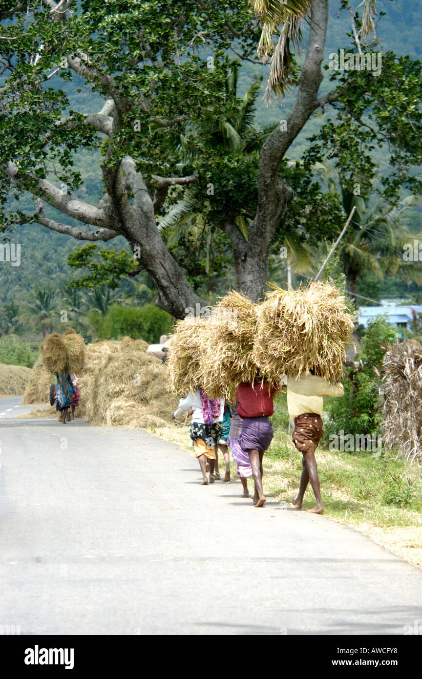 RURAL TAMIL NADU VILLAGE SCENE THENKASI Stock Photo 9450487 Alamy