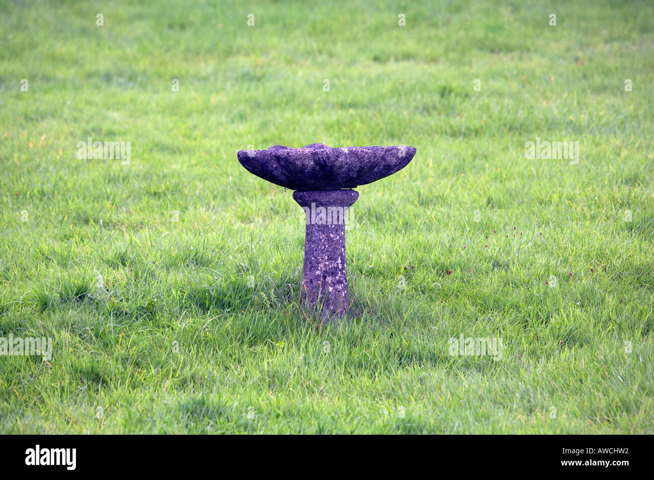 Aged stone bird bath and garden ornament Stock Photo Alamy
