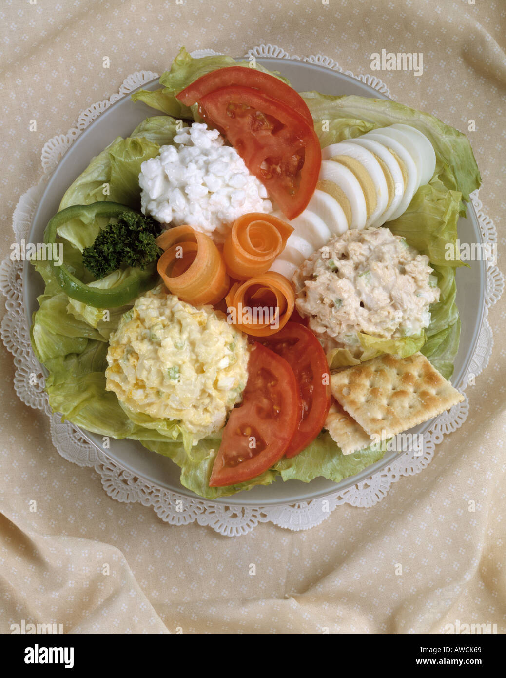 salad combo chicken  potato salad cottage cheese hard boiled sliced eggs tomato tomatoe lettuce cracker saltines carrot curls Stock Photo