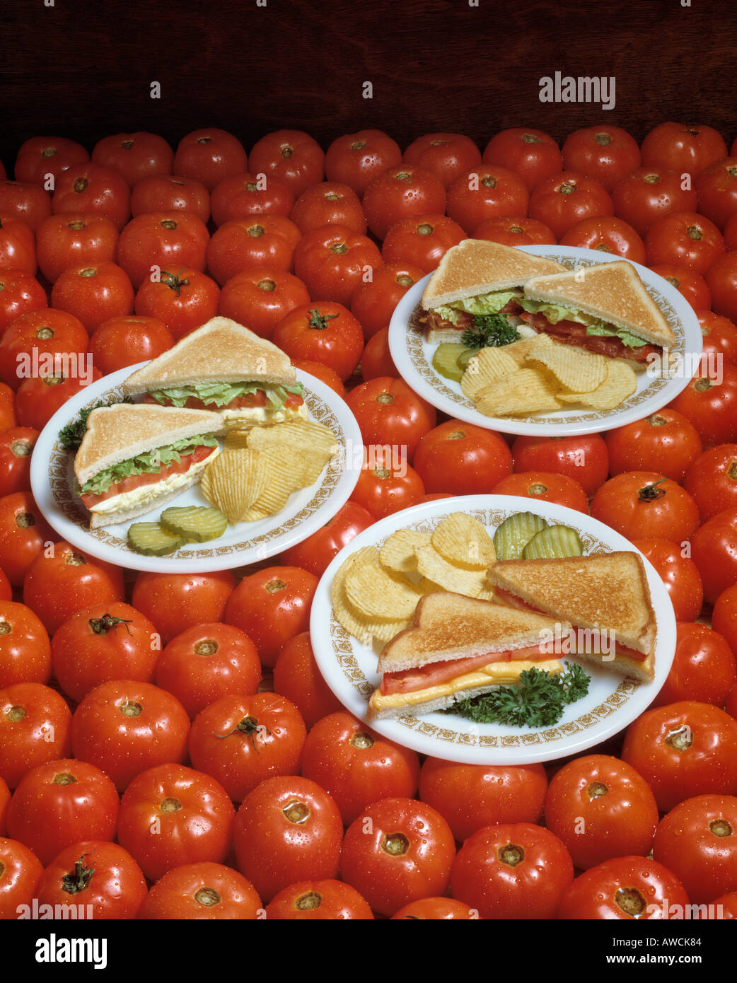 assorted assortment tomato tomatoe sandwiches potato chips Cuisine copy