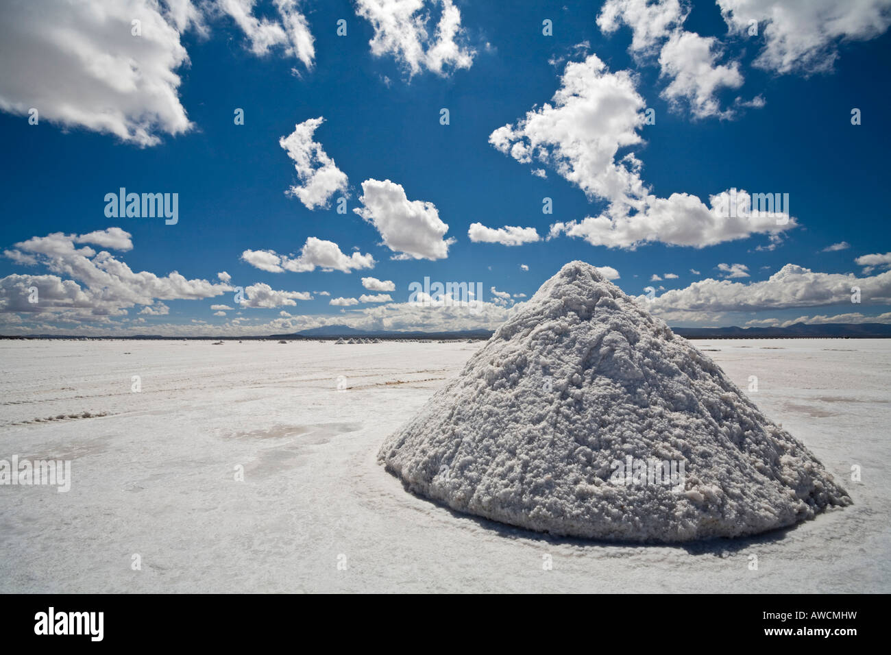 Salt accumulation at the salt lake Salar de Uyuni, Altiplano, Bolivia, South America Stock Photo