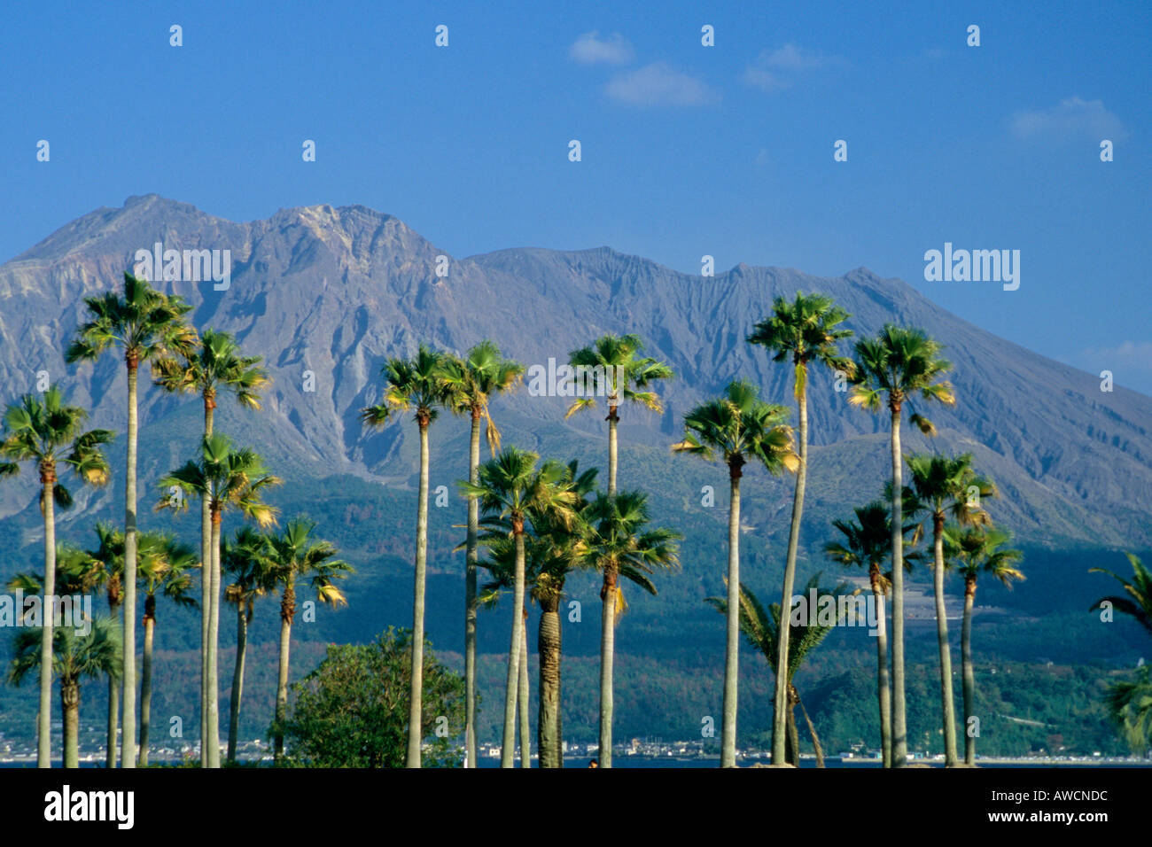 Japan Kagoshima Sakurajima volcano Stock Photo - Alamy