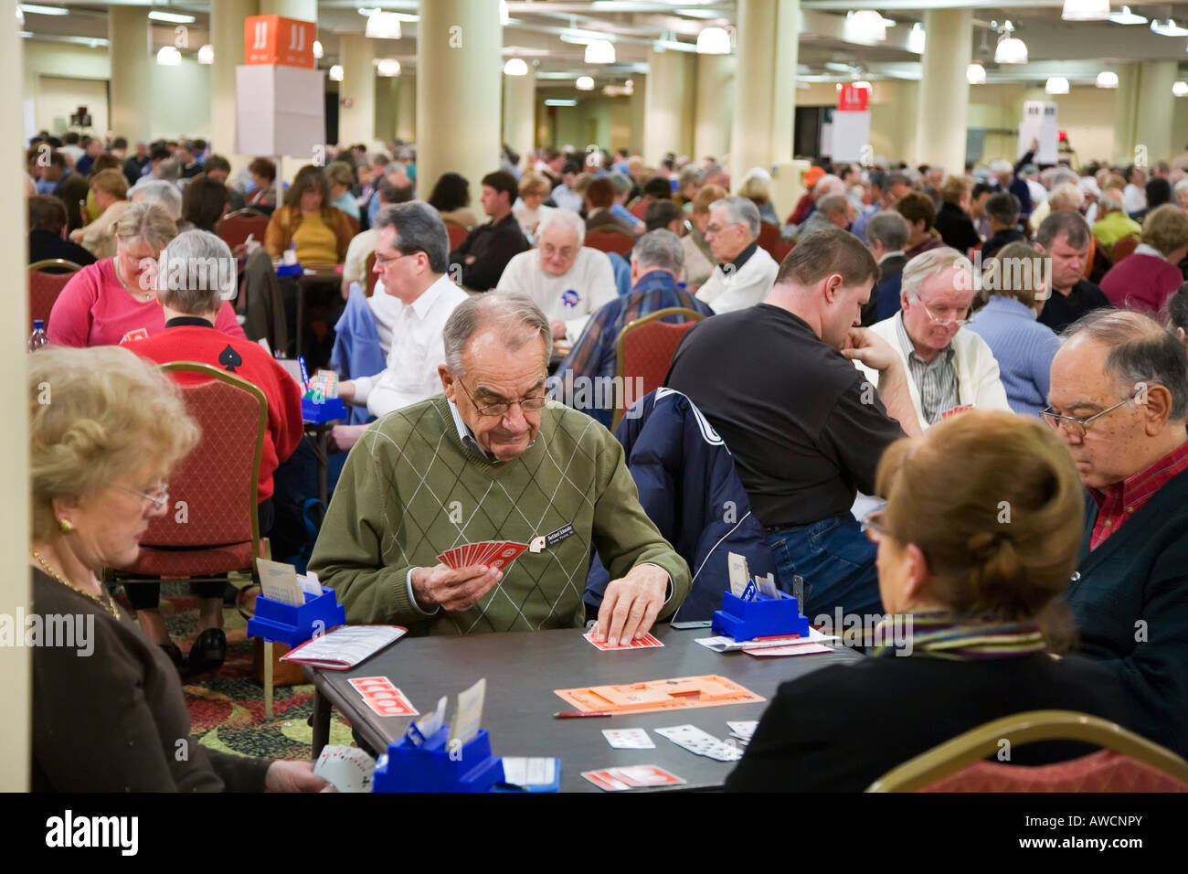 Bridge Tournament
