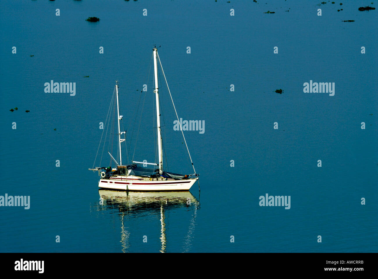 A SAILING BOAT IN VEMBANAD LAKE KOCHI KERALA Stock Photo