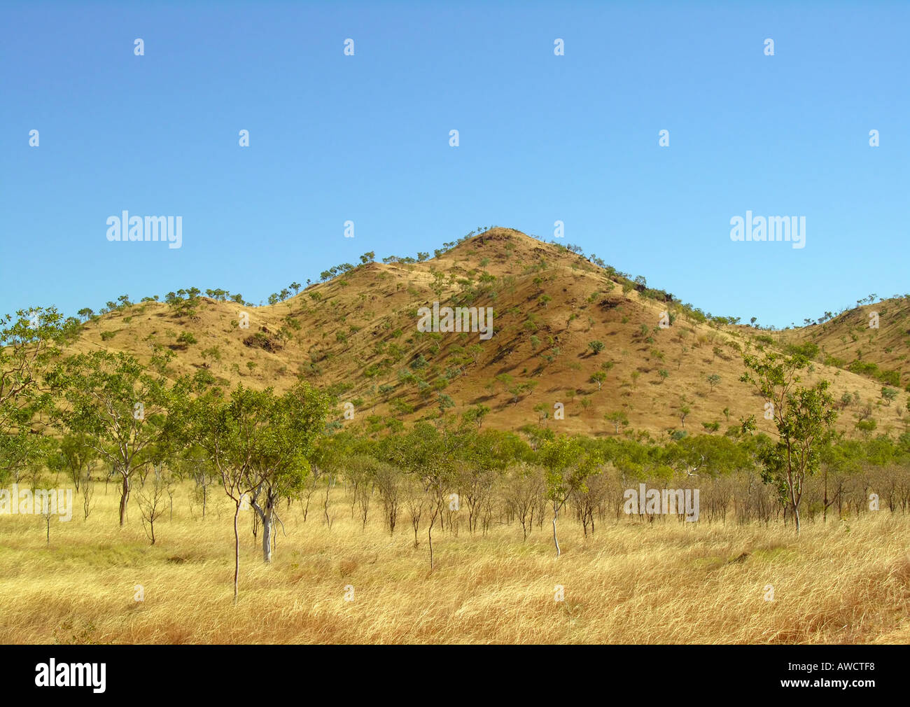 Red hill, Northern Territories Stock Photo Alamy