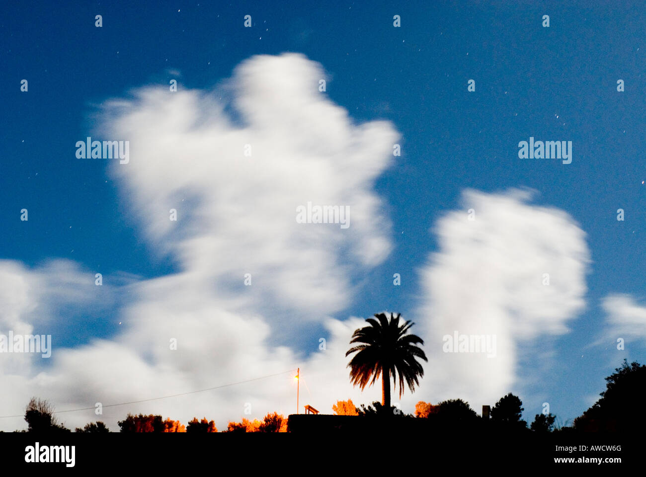 Spain Canary Islands La Palma La Tosca lookout drifting night clouds in moonshine and palm tree Stock Photo