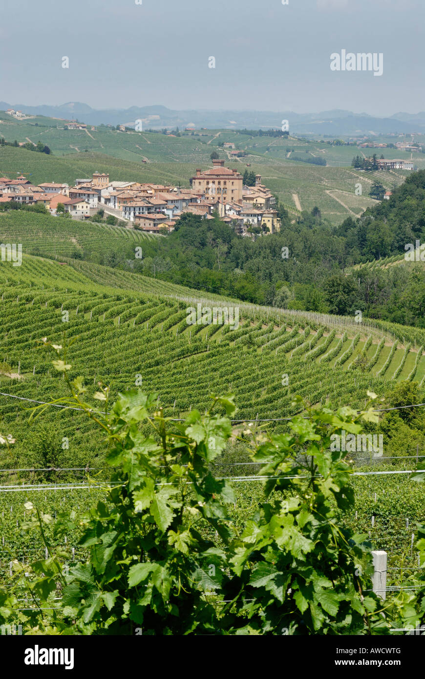 Barolo province Cuneo Piemonte Piedmont Italy south of Alba well known