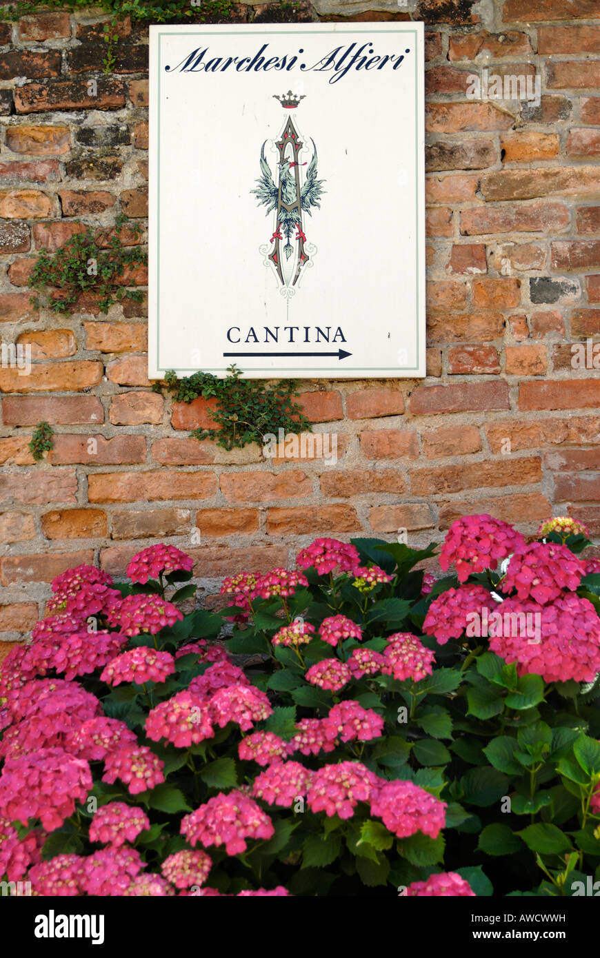 Castello di San Martino Alfieri south of Asti Piedmont Italy worldknown wine factory Stock Photo