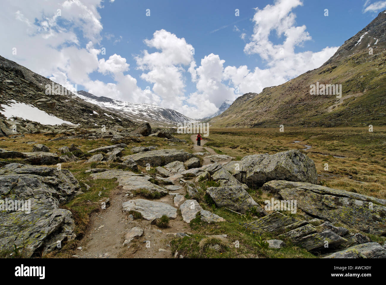 Gran Paradiso National Park between Piemonte Piedmont and Aosta valley Italy Garian Alps at the old path to the Val Salvarenche Stock Photo