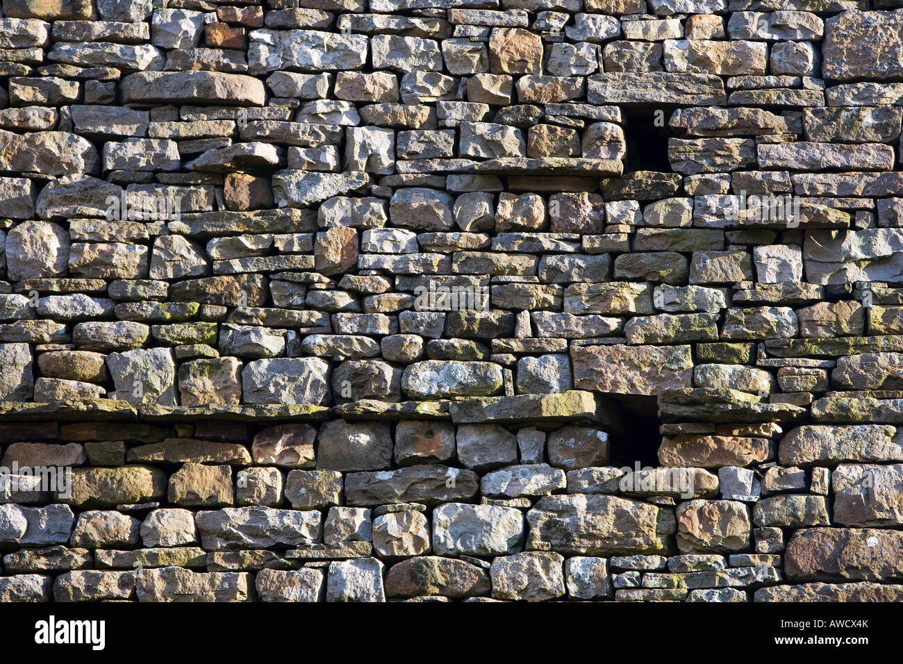 Farm building wall. Dry stone barn wall Cumbria, England Stock Photo