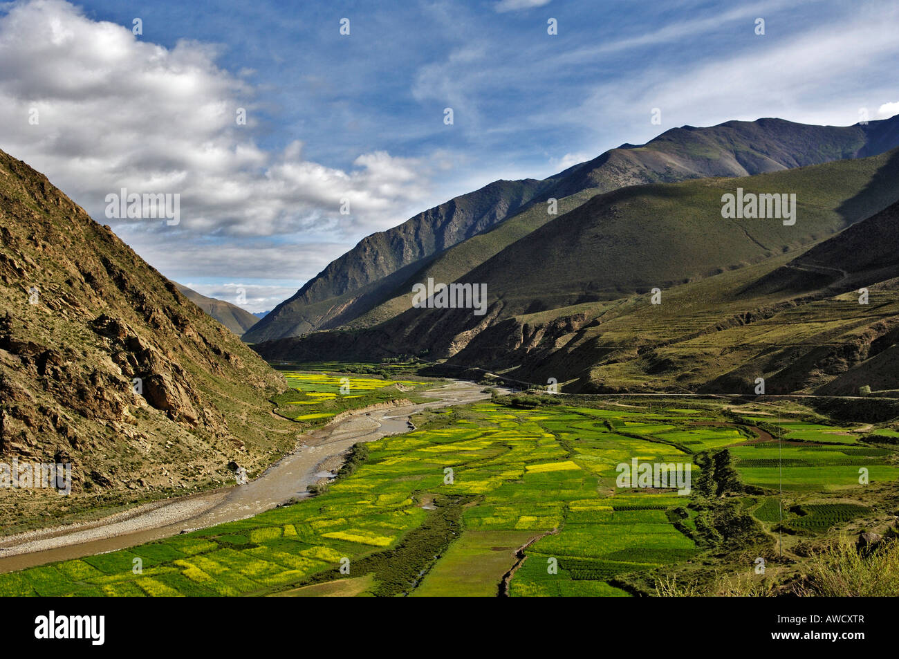 River, fertile valley, Tibet Stock Photo Alamy