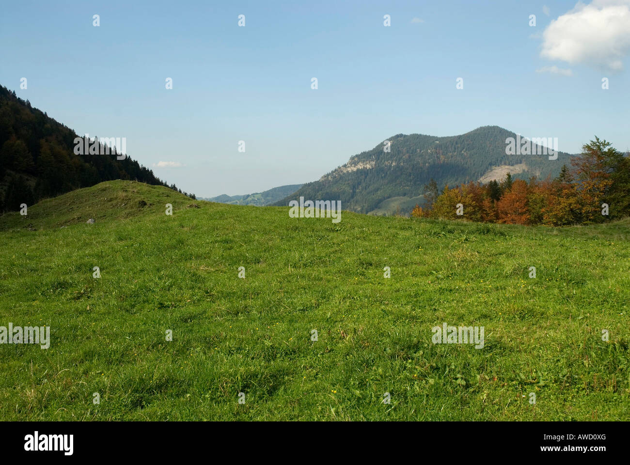 Empty meadow surface, Schliersee, Bavaria, Germany, Europe Stock Photo