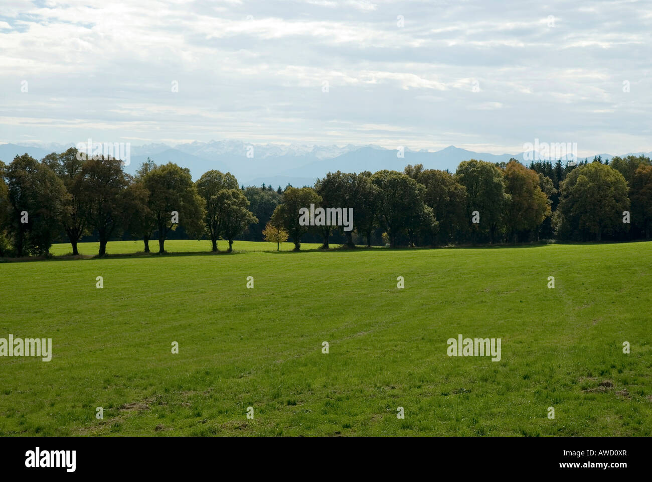 Empty meadow surface, Ilkahoehe, Tutzing, Bavaria, Germany, Europe Stock Photo