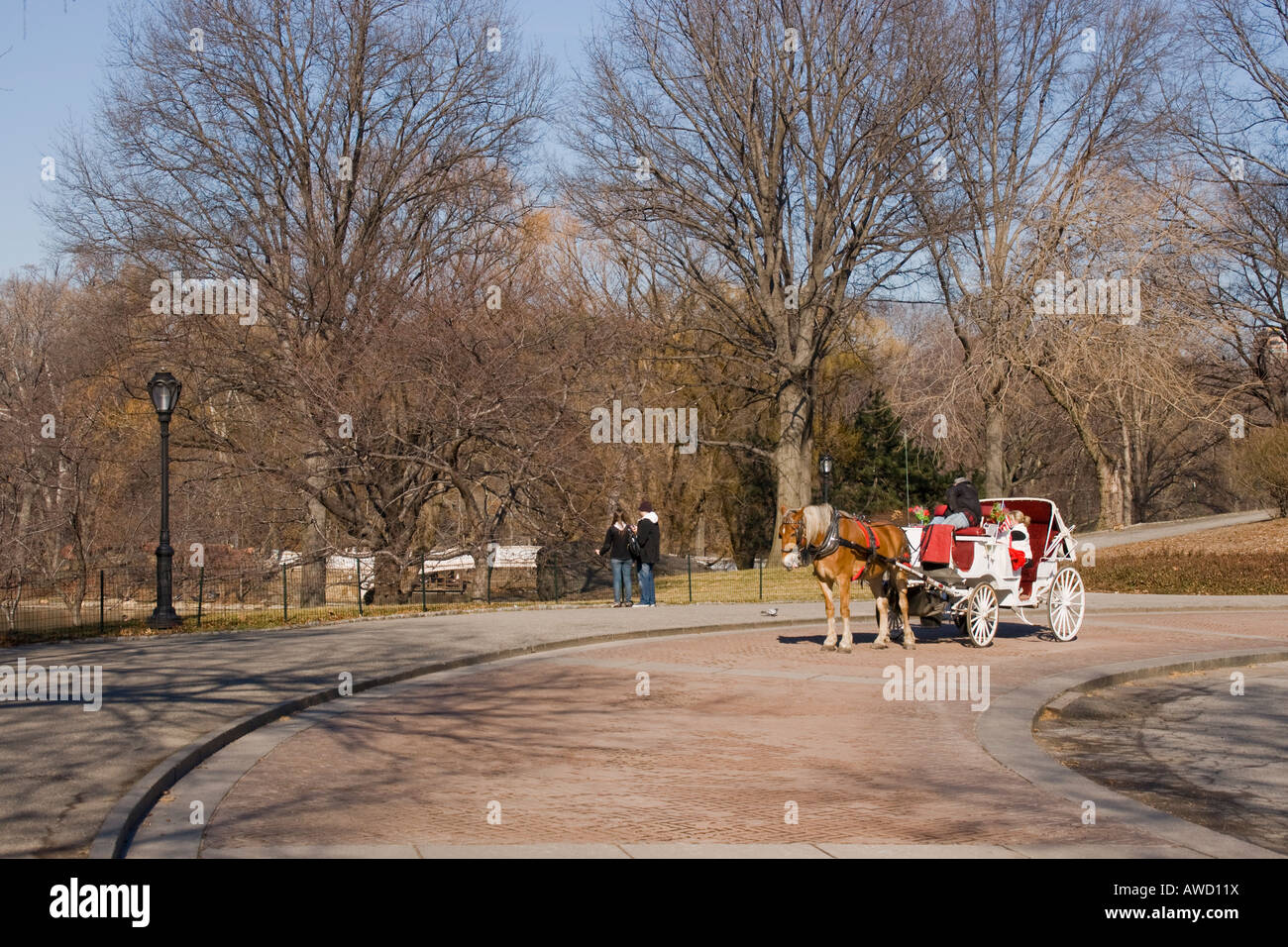 Horse carriage ride in Central Park, New York Stock Photo Alamy
