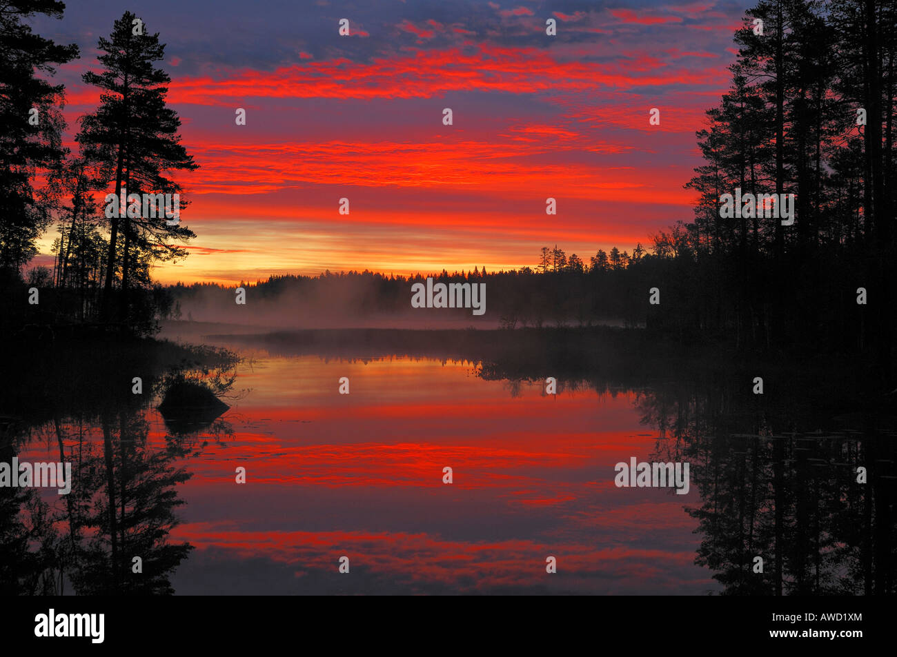 Spectacular sunrise at a Swedish raised moss lake, Dalarna, Scandinavia, Sweden, Europe Stock Photo