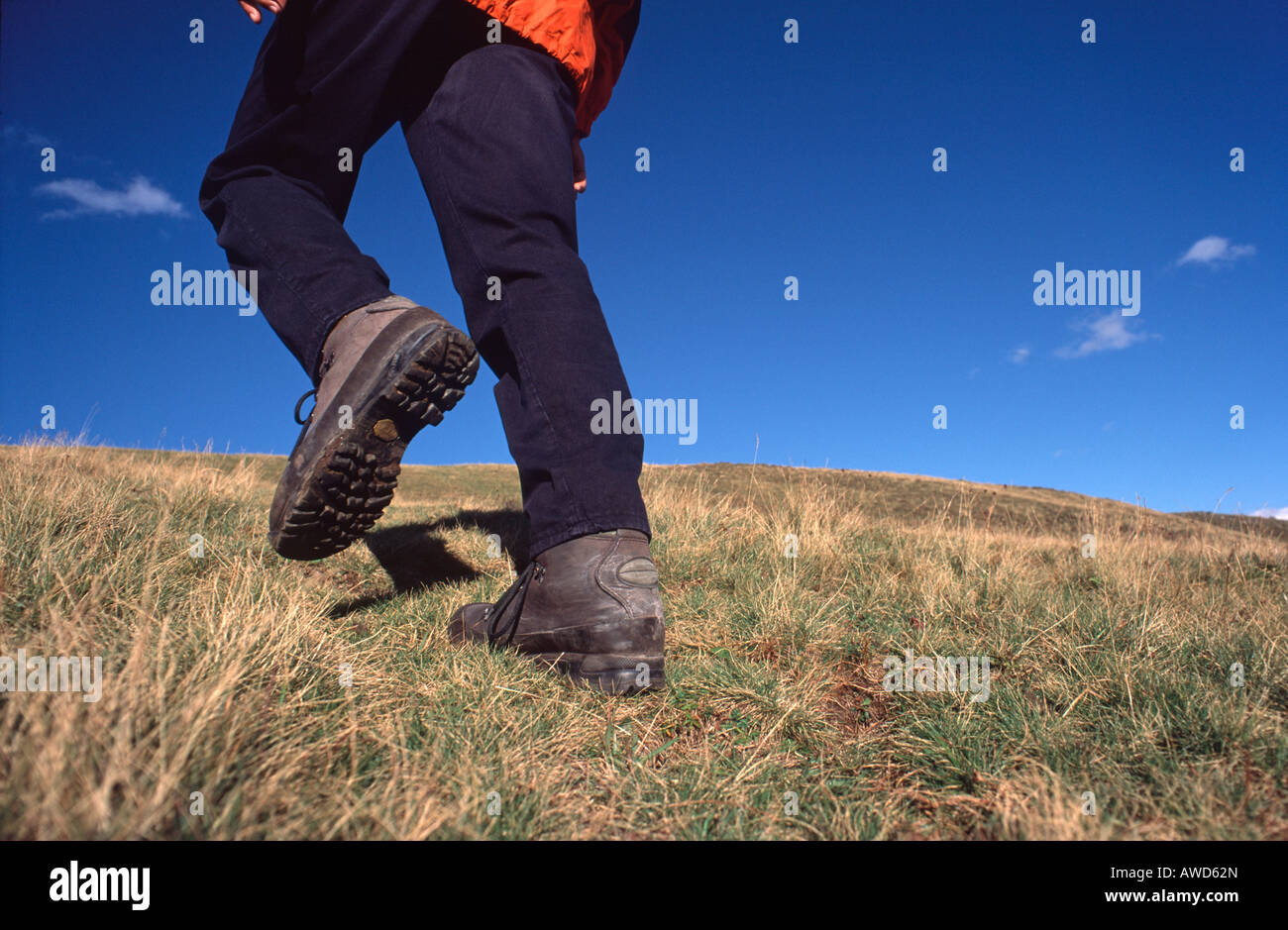 A photo from a low angle of the legs of a man standing in the water on the  shores of the Dead Sea, Israel Stock Photo - Alamy