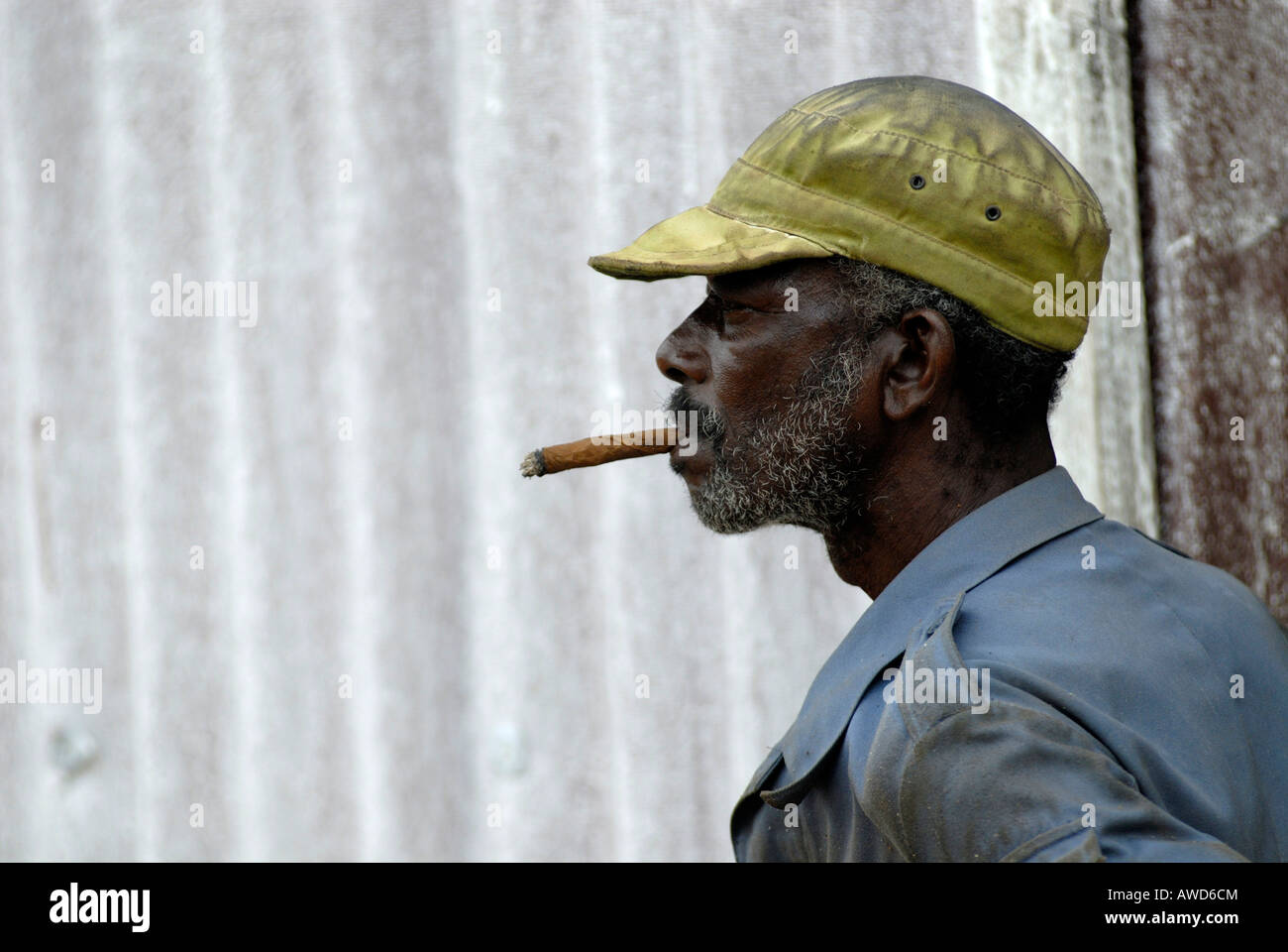 chewing tobacco toronto McAlpin Tobacco Company Toronto Ontario