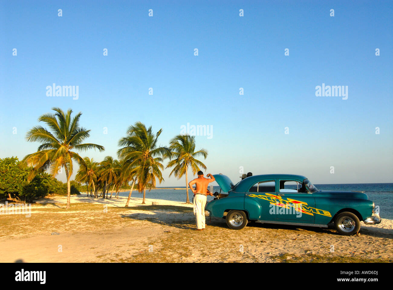 Vintage car parked a palm-lined beach, Playa Giron, Cuba, Caribbean, Americas Stock Photo