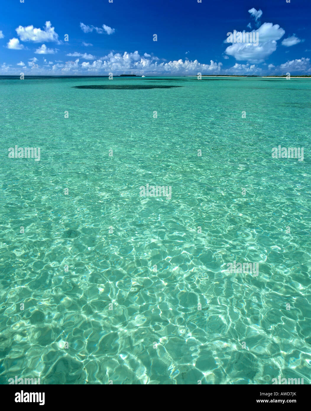 Turquoise waters, islands, view of clouds, Maldives, Indian Ocean Stock Photo