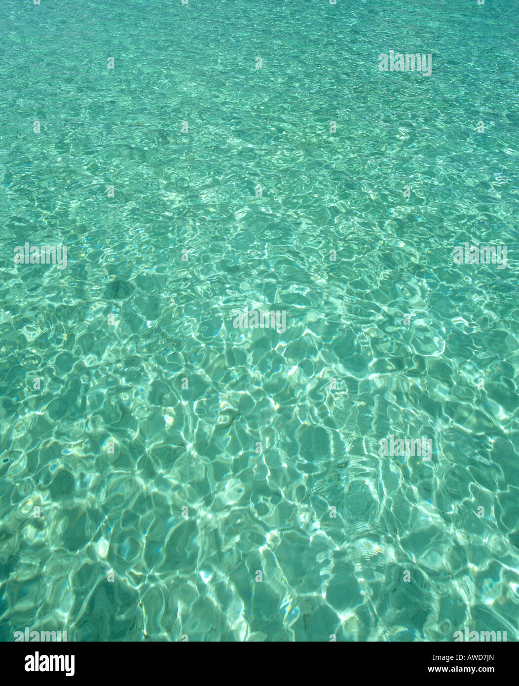 Clear, turquoise waters, Maldives, Indian Ocean Stock Photo