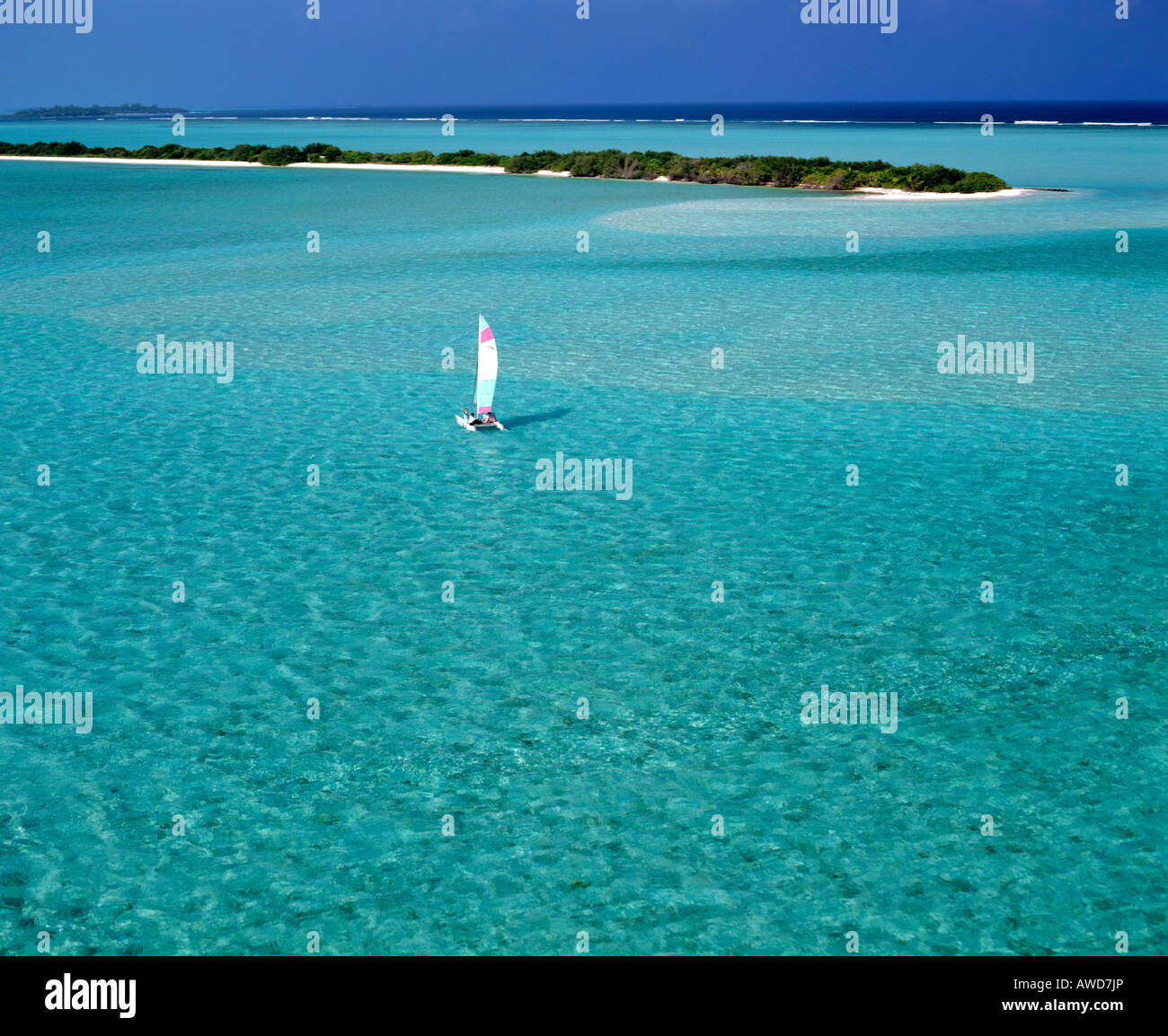 Catamaran in lagoon with island, aerial view, Maldives, Indian Ocean Stock Photo