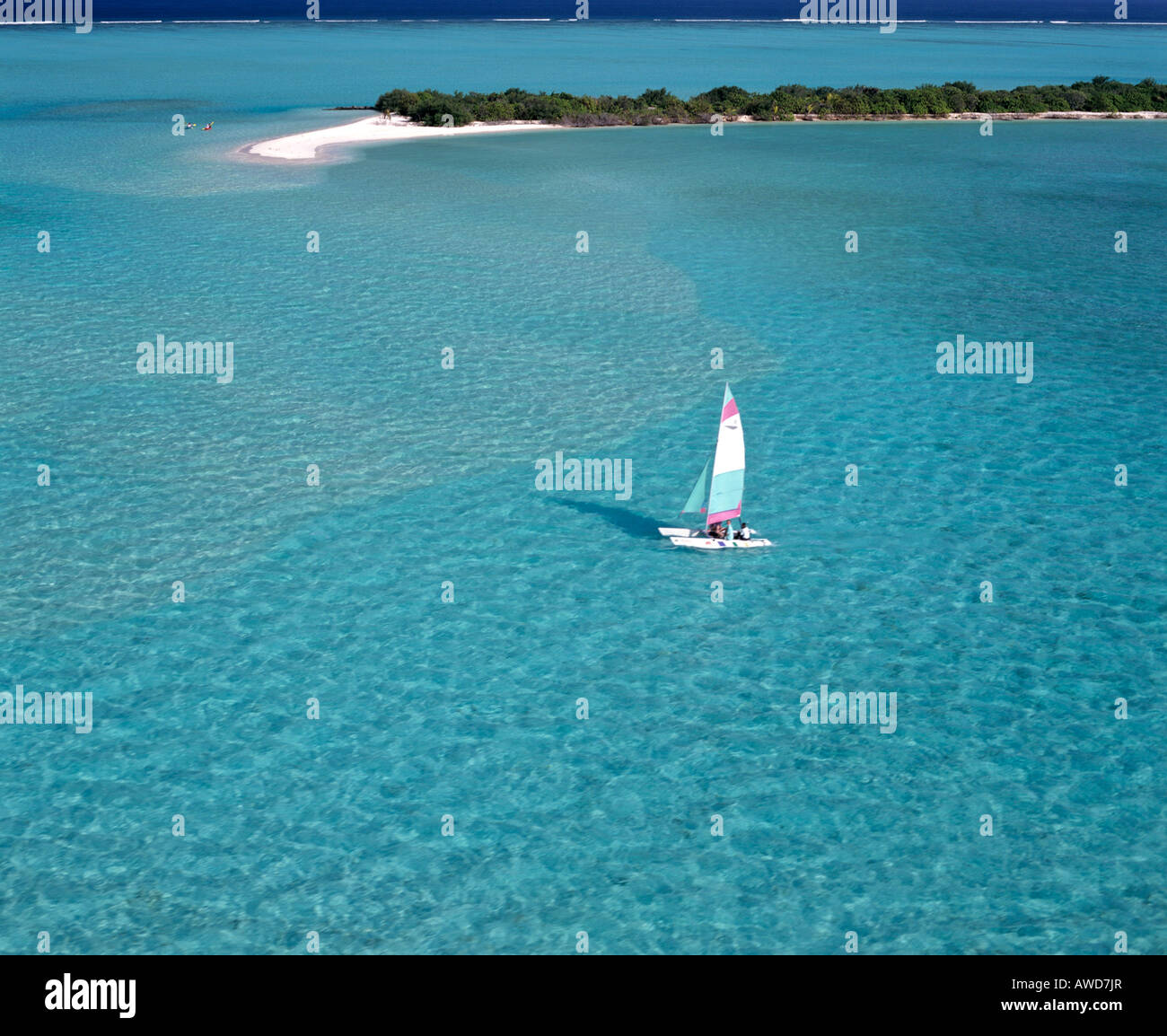 Catamaran in lagoon with island, aerial view, Maldives, Indian Ocean Stock Photo