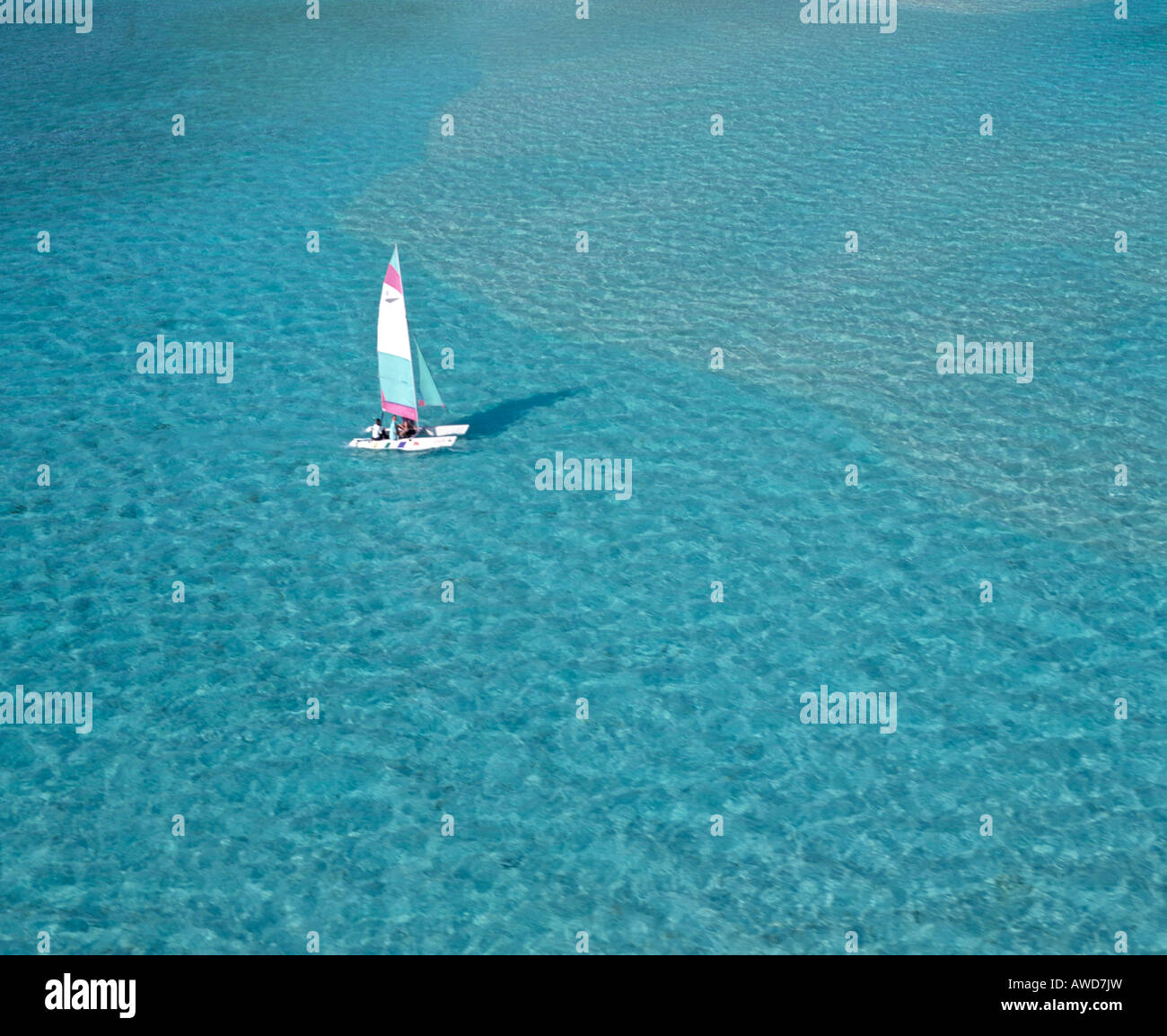 Catamaran in lagoon, aerial view, Maldives, Indian Ocean Stock Photo