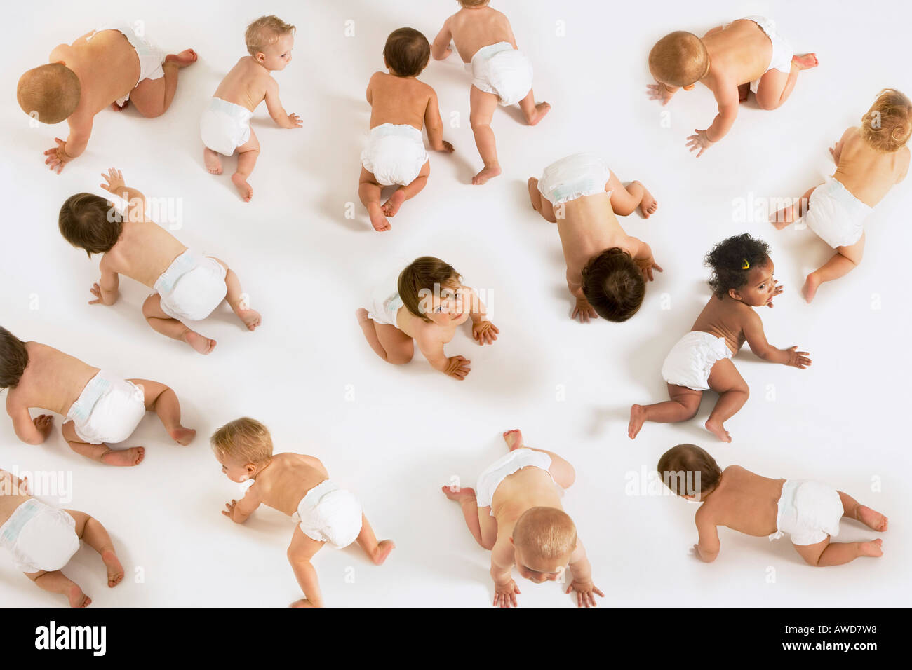 Large Group of Babies, montage Stock Photo