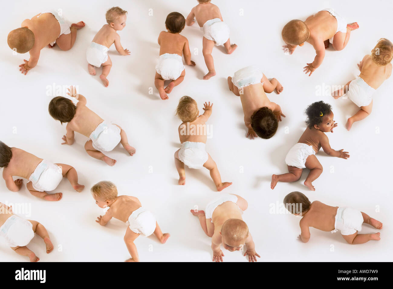 Large Group of Babies, montage Stock Photo Alamy