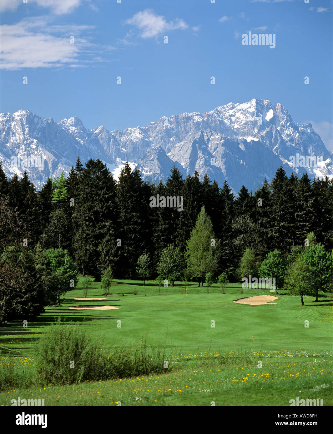 Golf course in Oberau, Garmisch Golf Club, Wetterstein Range, Upper  Bavaria, Bavaria, Germany, Europe Stock Photo - Alamy