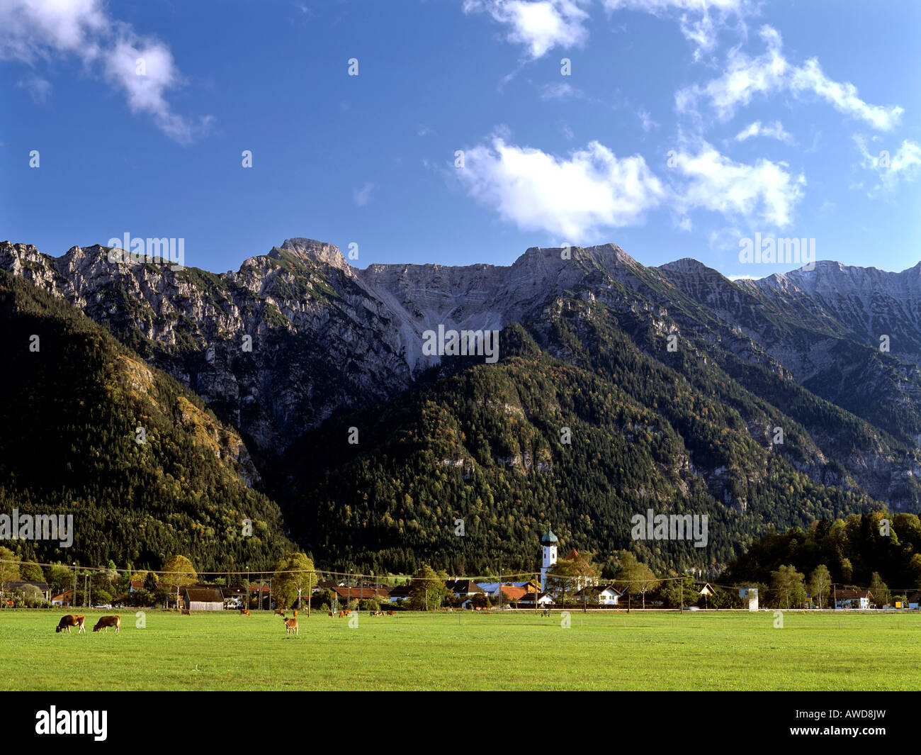 Bayern, Wiesen, Wald High Resolution Stock Photography and Images - Alamy