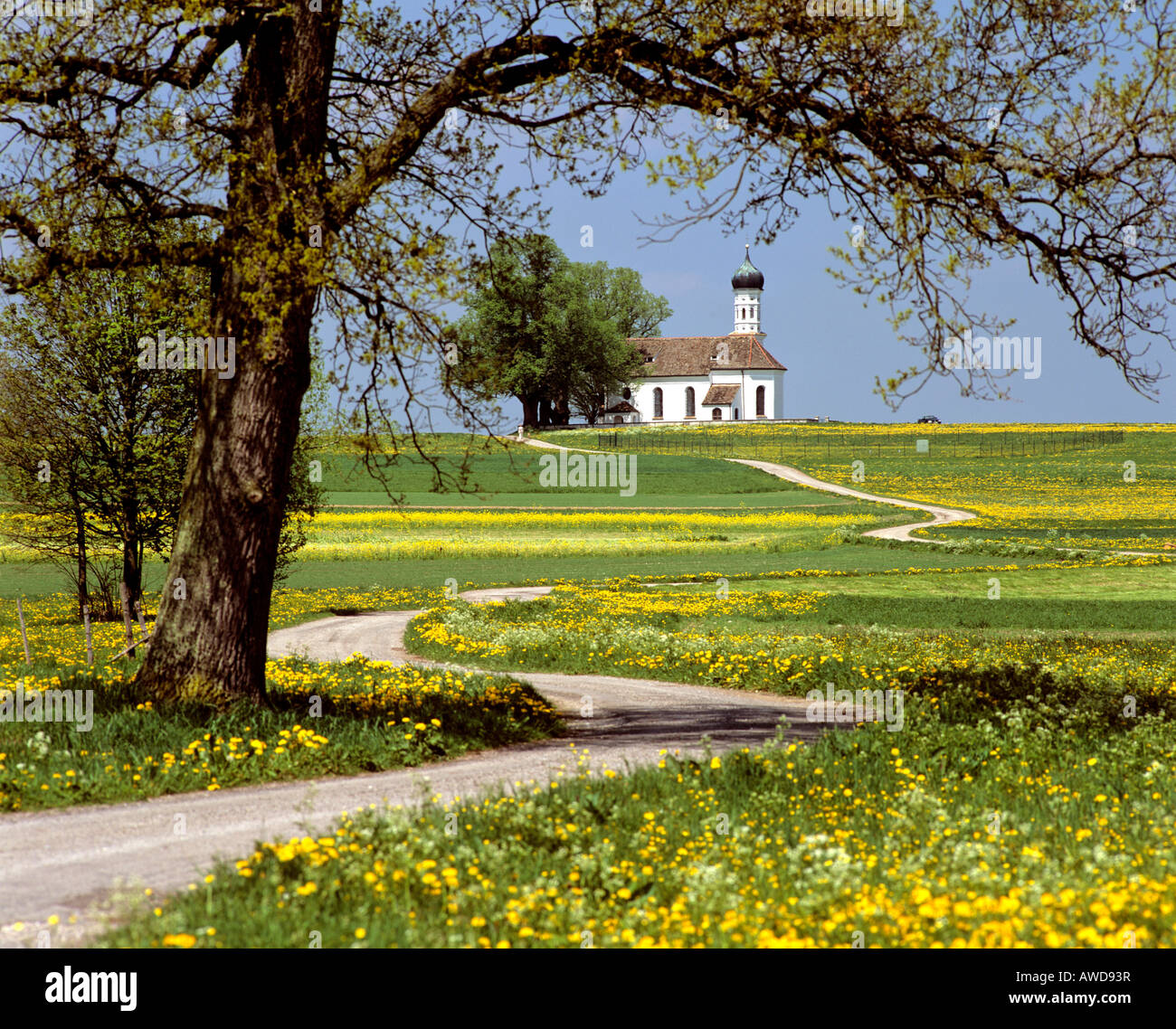 Andreas church near Etting in spring, Weilheim district, Upper Bavaria, Germany Stock Photo