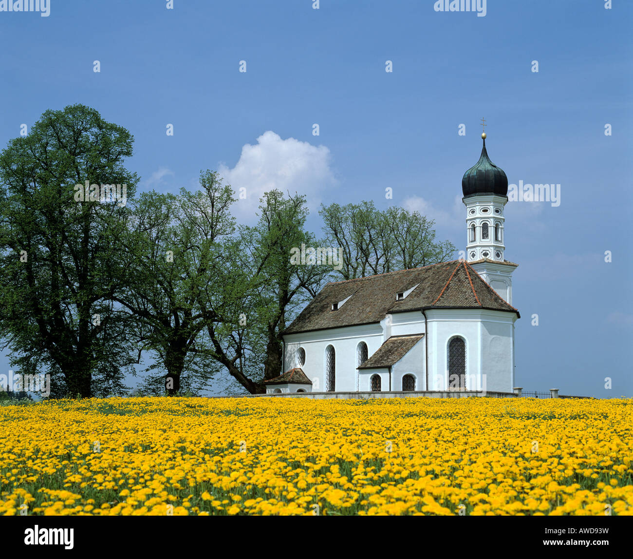 Andreas church near Etting, dandelion meadow in spring, Upper Bavaria, Germany Stock Photo