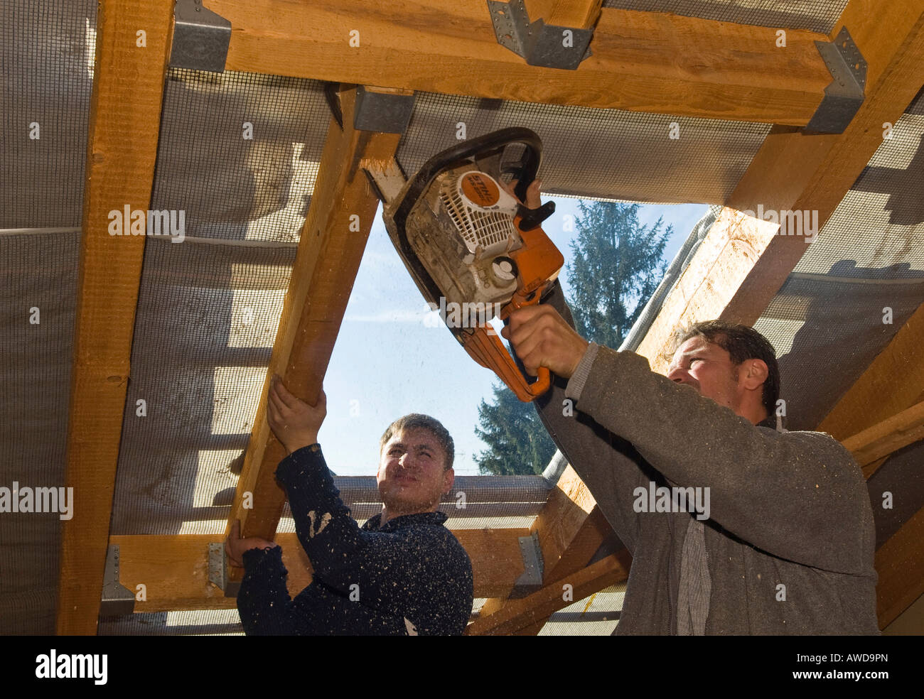 Carpenter working with chainsaw at the roof truss Stock Photo
