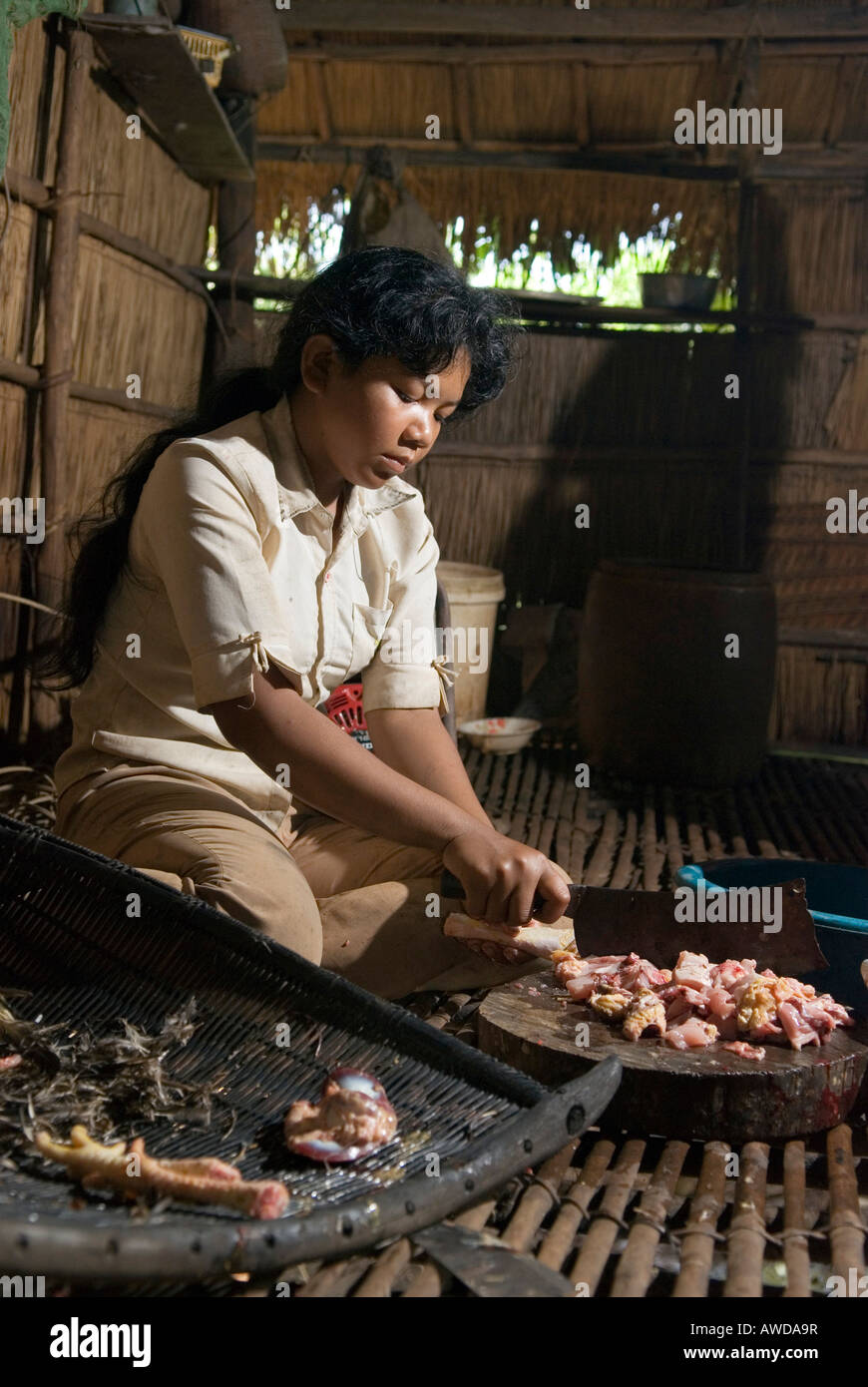 Junge Frau zerlegt ein Huehnchen in einer traditionellen kambodschanischen Kueche, Koh Kong Province, Kambodscha Stock Photo