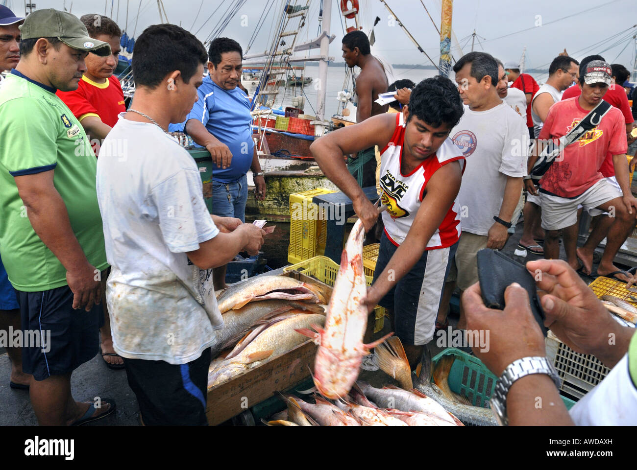 Fish market "VerOPeso" in Belem, Para, Brazil Stock Photo Alamy