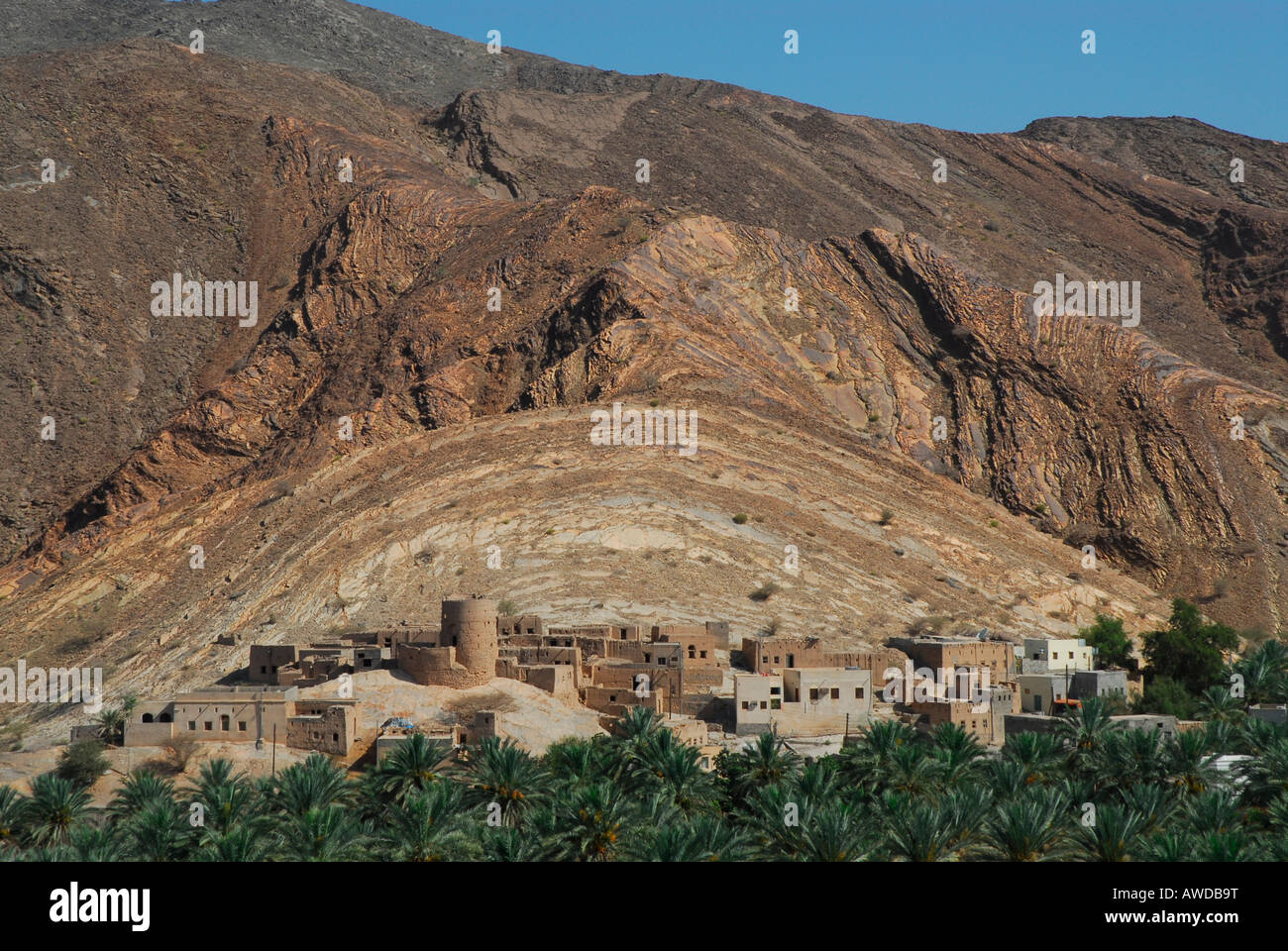 Birkat al-Mauz (banana and date palm plantation) in front of Bait al-Rudaidah fortress, near Nizwa, Oman Stock Photo