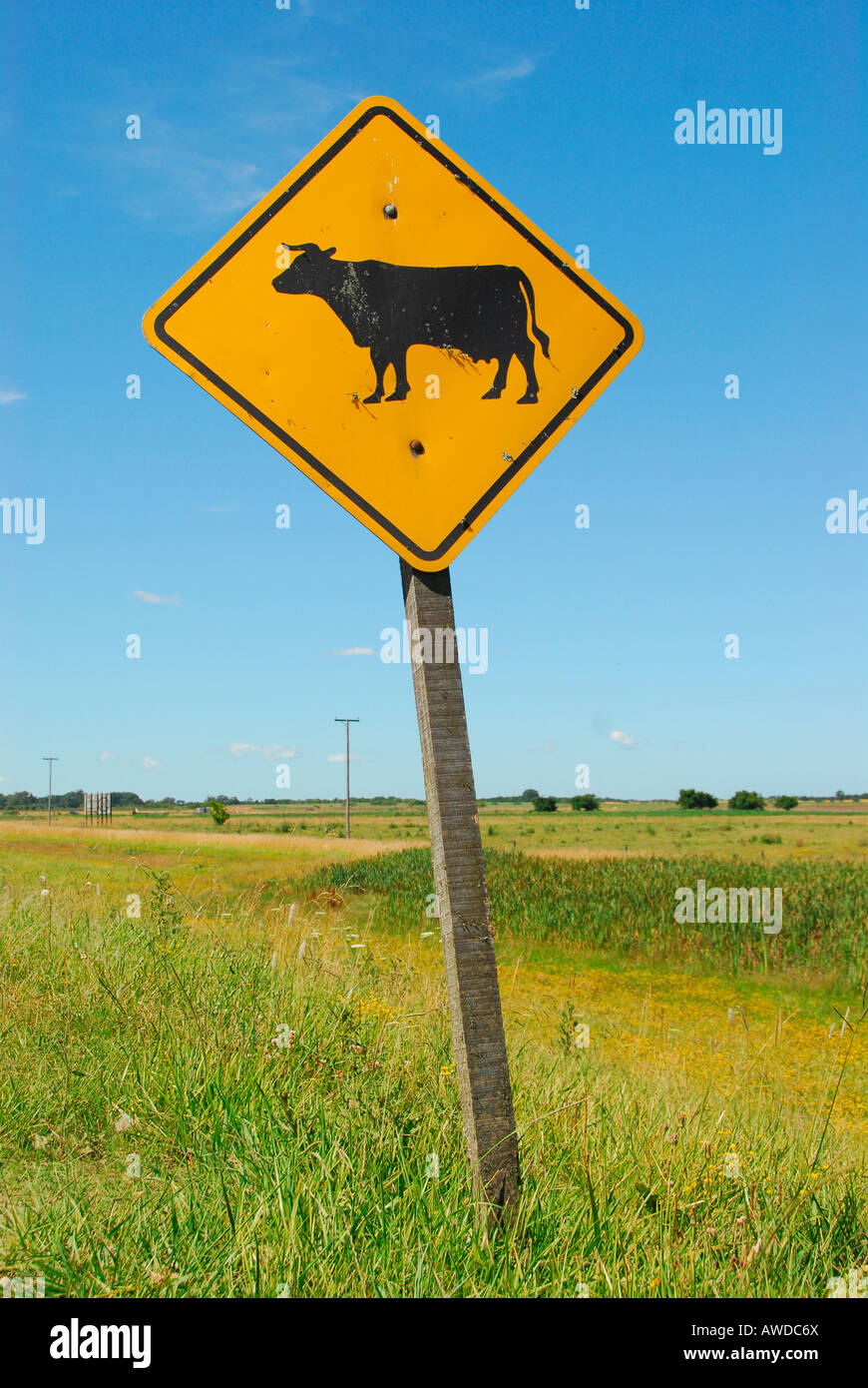Beware of cows: street sign, near Dolores, Buenos Aires province, Argentina Stock Photo