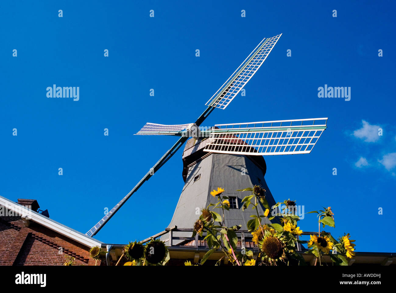 Windmill, Osterholz-Scharmbeck, Lower Saxony, Germany Stock Photo