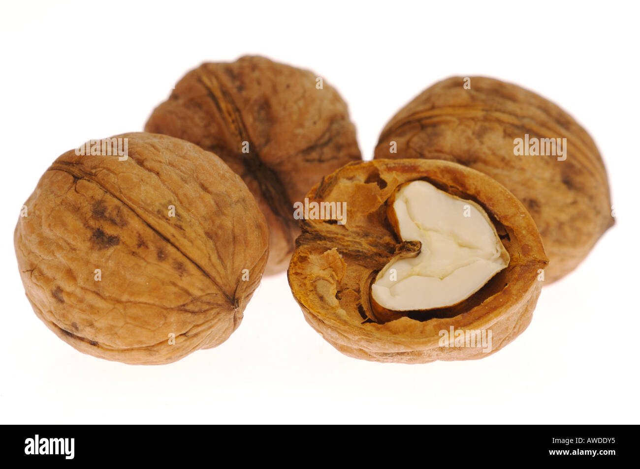 Walnuss nut Stock Photo