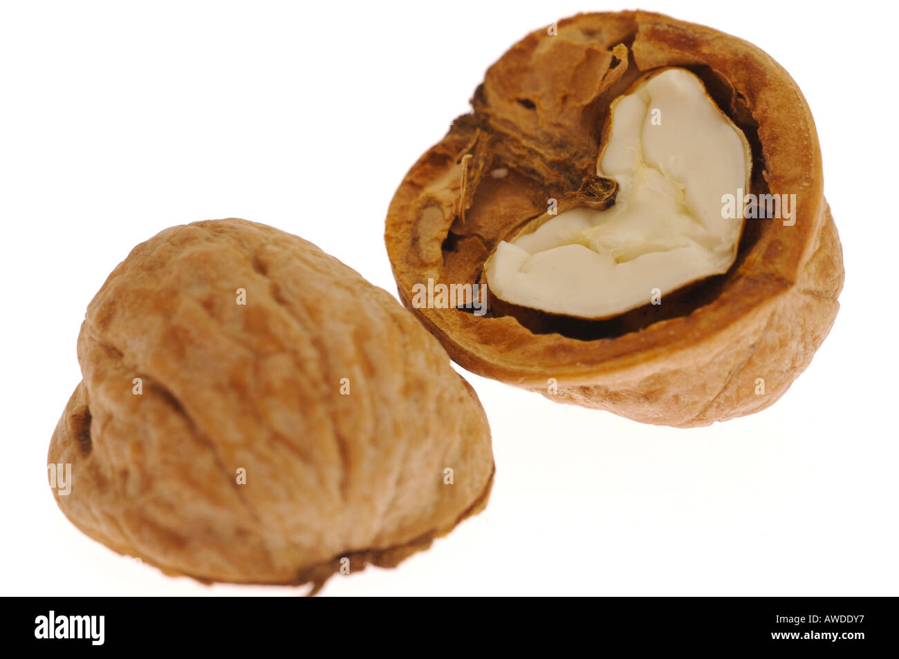 Walnuss Nut Stock Photo
