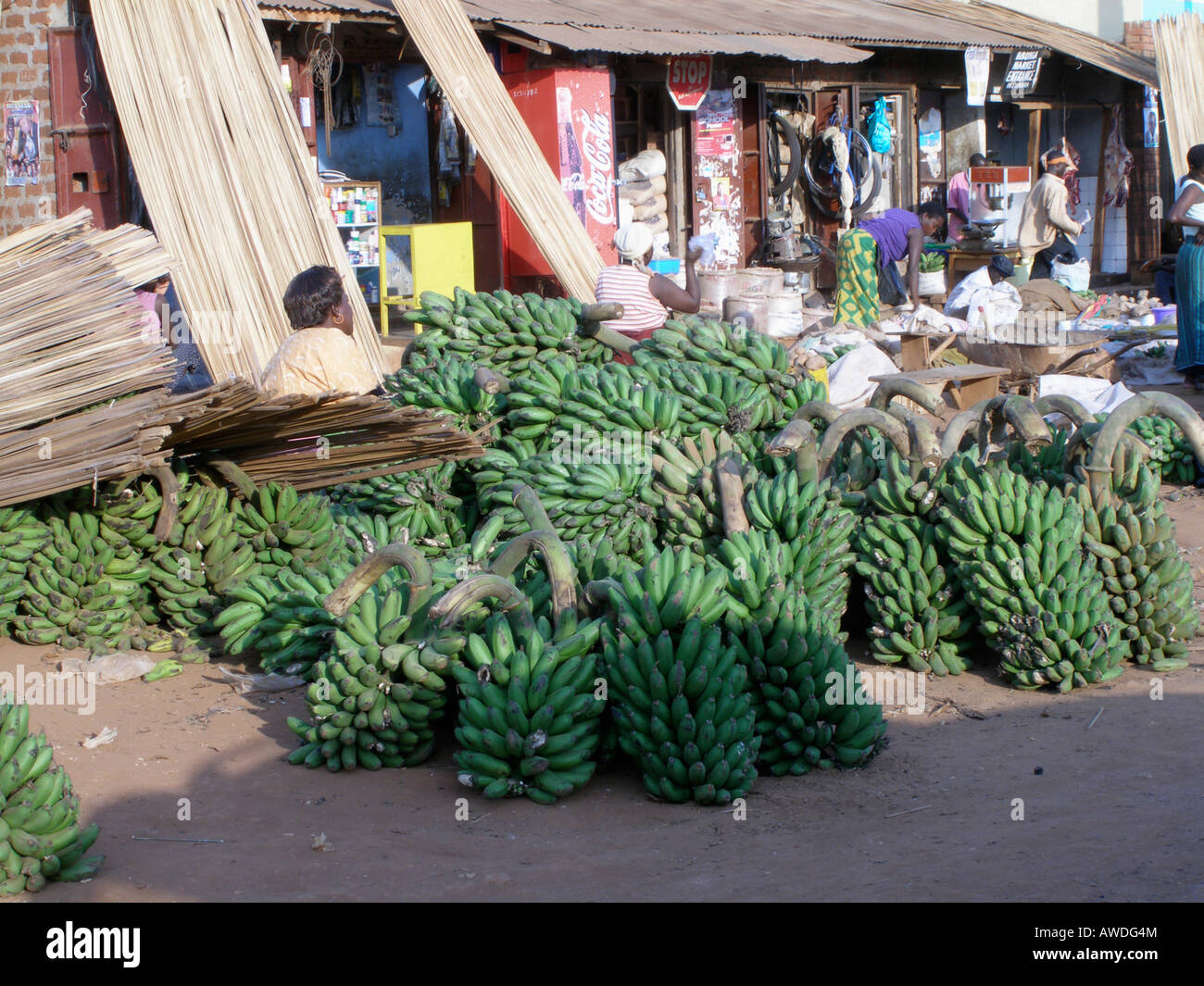 Plantain (matooke) for sale in a market in a Kampala suburb, Uganda Stock Photo