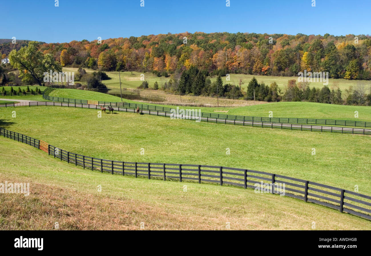 Horse Farm in Dutchess County, New York Stock Photo