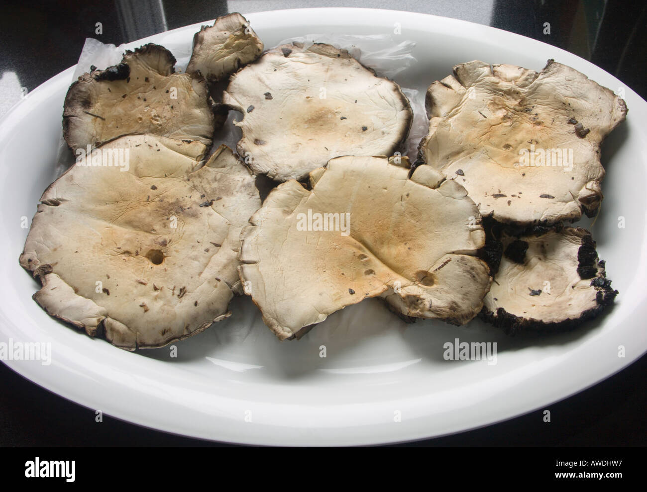 Fresh field mushrooms on a plate Stock Photo