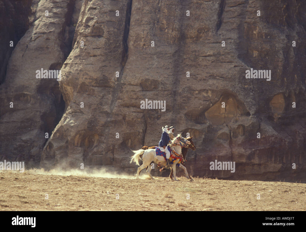 Raising dust as Arab horses and riders participate in a horse race in the Jordanian desert, near Petra, Jordan Stock Photo